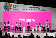 Cali camina hacia la COP16 para visibilizar la biodiversidad del Chocó biogeográfico al mundo
