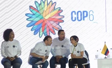 Cali camina hacia la COP16 para visibilizar la biodiversidad del Chocó biogeográfico al mundo