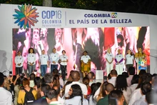 Cali camina hacia la COP16 para visibilizar la biodiversidad del Chocó biogeográfico al mundo