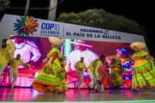 Cali camina hacia la COP16 para visibilizar la biodiversidad del Chocó biogeográfico al mundo