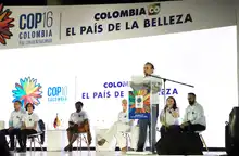 Cali camina hacia la COP16 para visibilizar la biodiversidad del Chocó biogeográfico al mundo