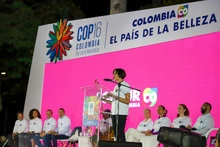 Cali camina hacia la COP16 para visibilizar el Chocó biogeográfico