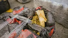Golpe al narcotráfico en Santiago de Cali: las autoridades incautaron 5.6 toneladas de marihuana 