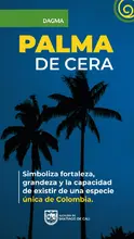 Acciones de amor y fe por el medio ambiente: en Semana Santa protejamos la palma de cera