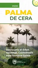 Acciones de amor y fe por el medio ambiente: en Semana Santa protejamos la palma de cera