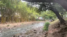 Continuamos recuperando la ciudad: ocho metros cúbicos de residuos fueron evacuados del río Cali