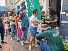 Cali es ejemplo en campaña nacional de protección de la palma de cera