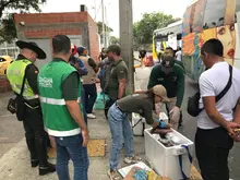 Cali es ejemplo en campaña nacional de protección de la palma de cera