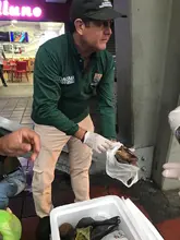Cali es ejemplo en campaña nacional de protección de la palma de cera