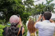 Cali deslumbra en Semana Santa con su biodiversidad única