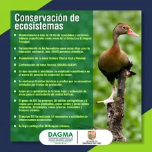 Con resultados operativos el Dagma aporta en la recuperación de Cali