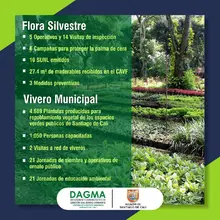 Con resultados operativos el Dagma aporta en la recuperación de Cali