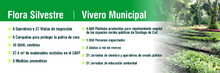 Flora Silvestre-Vivero