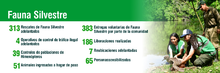 Fauna Silvestre