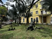 Embelleciendo a Cali: Dagma empezó la siembra de 100 plantas en el Parque El Peñón