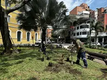 Embelleciendo a Cali: Dagma empezó la siembra de 100 plantas en el Parque El Peñón