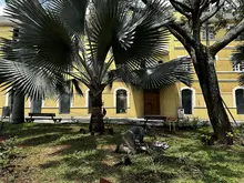 Embelleciendo a Cali: Dagma empezó la siembra de 100 plantas en el Parque El Peñón