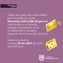 ¡Participa en la elección del Consejo Consultivo en Protección Animal  de Cali!