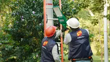Emcali está instalando 380 nuevas luminarias led en el parque El Ingenio ¡Así avanza el plan de modernización!