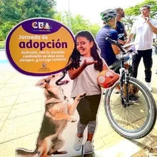 Martín, Melón y Mery encontraron hogar durante una jornada de la  Ciclovida de Cali