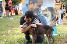 Martín, Melón y Mery encontraron hogar durante una jornada de la  Ciclovida de Cali