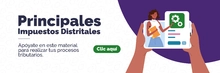 Principales Impuestos  