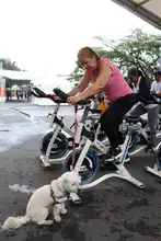  La lluvia, un especial regalo para la Tierra, durante el día de su conmemoración en la Ciclovida de Cali