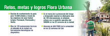 Flora Urbana