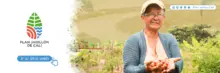 Banner Jarillon redirección web SGRED