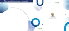 banner pemp