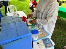 Refuerzo de protección: Santiago de Cali recibe importante dotación de vacunas