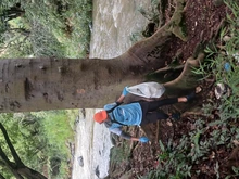 Plogging liberó de 1,5 toneladas de residuos al río Cali