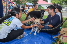 La Ciudadela de la Alegría regresó llena de atracciones y caras felices de las familias caleñas