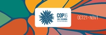 COP16 Cali Colombia