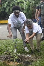 Dagma conmemoró el ‘Día del Árbol’ con jornada de siembra en dos bosques urbanos de Cali 