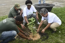 Dagma conmemoró el ‘Día del Árbol’ con jornada de siembra en dos bosques urbanos de Cali 