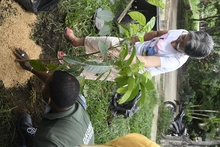Dagma conmemoró el ‘Día del Árbol’ con jornada de siembra en dos bosques urbanos de Cali