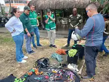 El Dagma actualiza a su personal para un mejor cuidado y mantenimiento del arbolado urbano