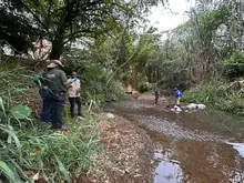 Dagma revela calidad del agua de los ríos de Cali