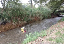 Dagma revela calidad del agua de los ríos de Cali