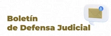 Boletin defensa judicial3