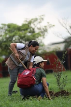 Cali siembra para la COP 16 con una nueva estrategia de  seguridad arbórea