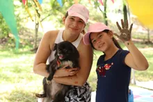 Hasta las mascotas se gozaron el ‘Día de la Familia’ en la  Ciclovida de Cali