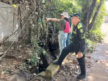Dagma hace un llamado a constructores que insisten en afectar el humedal Lago Verde