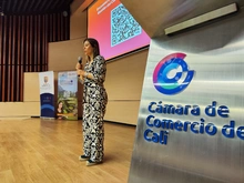 auditorio cámara y comercio