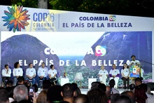 Lanzamiento de la Imagen Oficial de la COP16