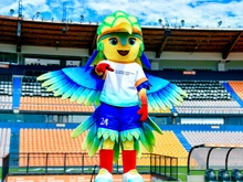 Dos campeones, España y Estados Unidos, jugarán la Copa Mundial Sub-20 Femenina de la FIFA en el Pascual Guerrero