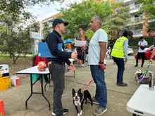 Disponer adecuadamente los excrementos de nuestros perros, clave para evitar problemas de salud pública en Cali