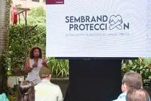 ‘Sembrando Protección’, la campaña que desde Turismo Cali busca proteger a los menores de edad de la explotación sexual