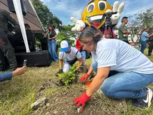 Corredor ambiental vuelve a reverdecer para la ciudadanía